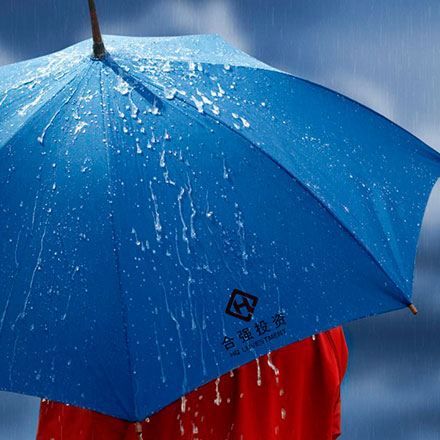 上海VI設計公司作品案例展示